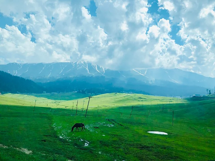 Gulmarg Snow Escape
